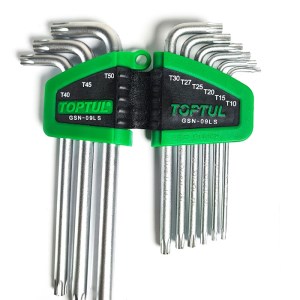 الن بلند کارتی کارناوال karnanal