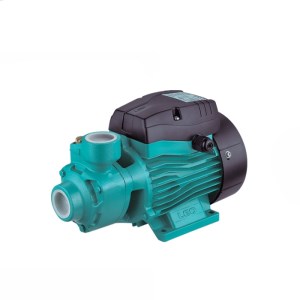 پمپ اب 1 اسب محیطی لئو